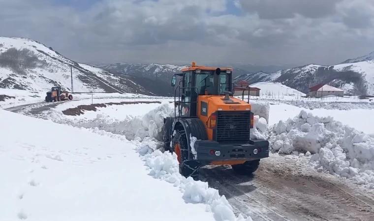 Mayıs ayında karla mücadele