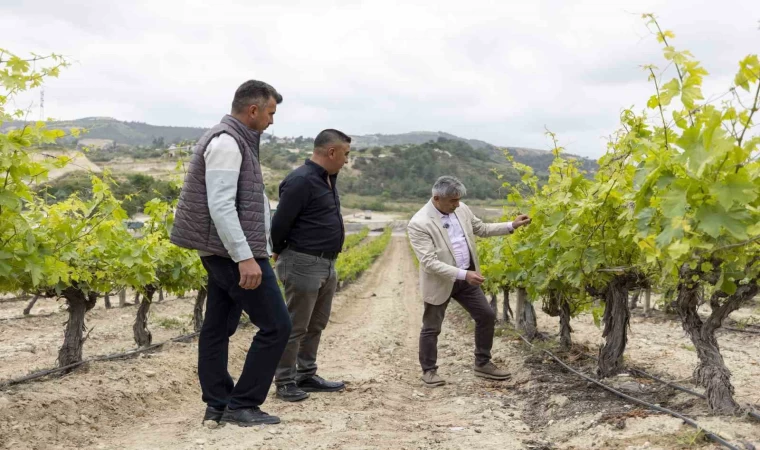 Mersin’de üreticilere damlama sulama sistemi anlatılıyor