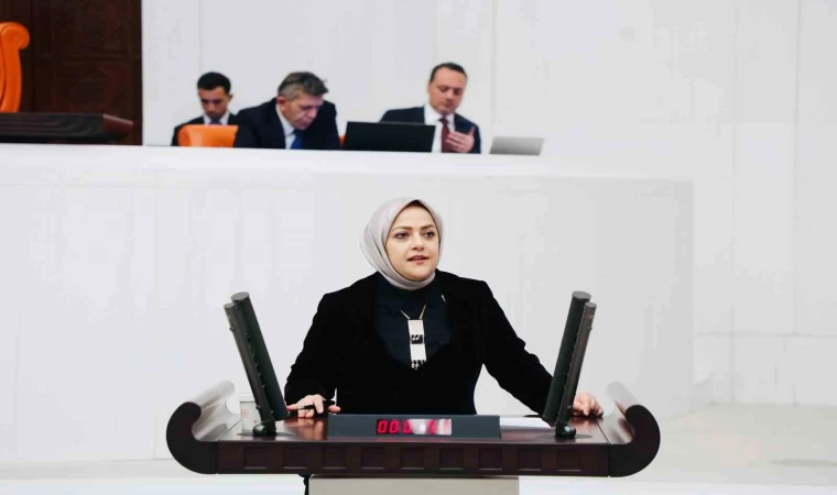 Milletvekili Ün, ”Kadınların ev içi emeği mutlaka karşılık bulmalıdır”