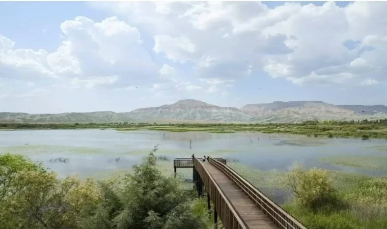 ‘Nilüfer Cenneti’ olarak bilinen o göl sportif olta balıkçılığına açıldı