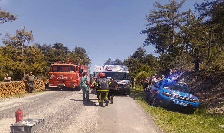 Odun sterine çarpan otomobil takla attı