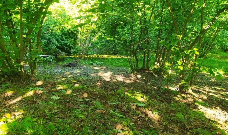 Ordu’da yaşlı adam, fındık bahçesinde ölü bulundu