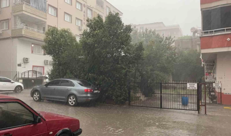 Osmaniye’de fırtına ağaçları kökünden söktü