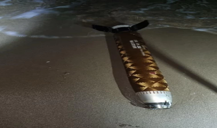 Sahilde gezintiye çıkan vatandaş fark etti: Ekipler harekete geçti