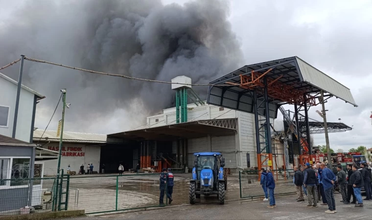 Sakarya’da fabrika yangını