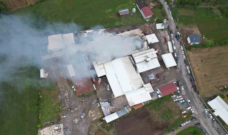 Sakarya’da fındık kırım fabrikasındaki yangın havadan görüntülendi