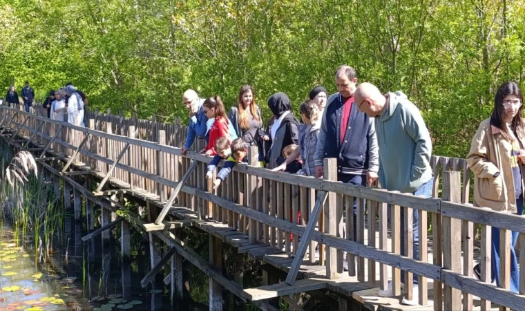 Saklı cennet Acarlar Longozu, hafta sonu ziyaretçi akınına uğradı
