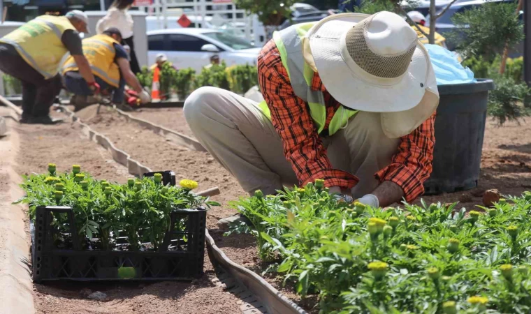 Seralarda yetiştirilen çiçekler Şanlıurfa’yı güzelleştirecek