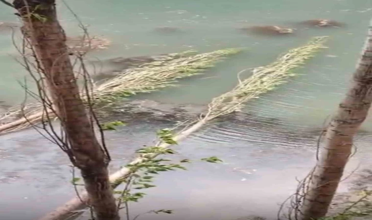 Şiddetli fırtına hayatı felç etti