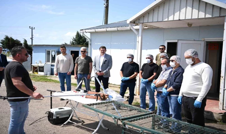 Sinop’ta sahipsiz hayvanların toplanmasına yönelik eğitim