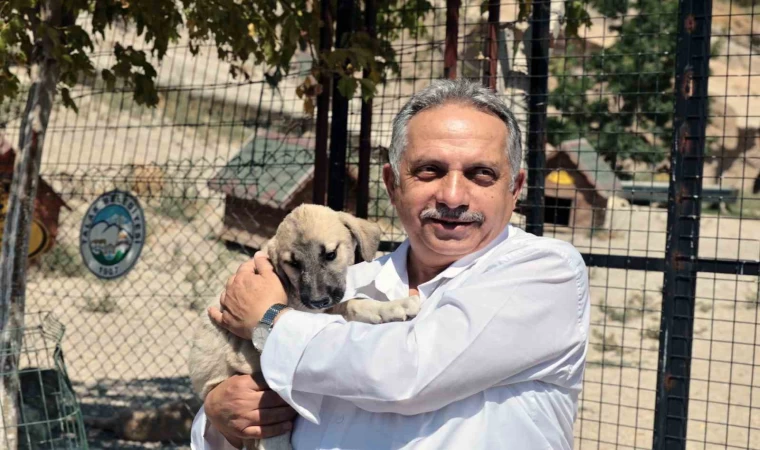 Talas Pati Evi, sahipsiz canlara yuva oluyor