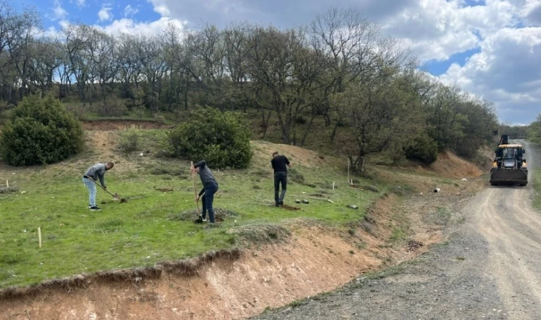 Tavşanlı Kuruçay Göleti çevresi hükümlülerin ellerinden yeşeriyor