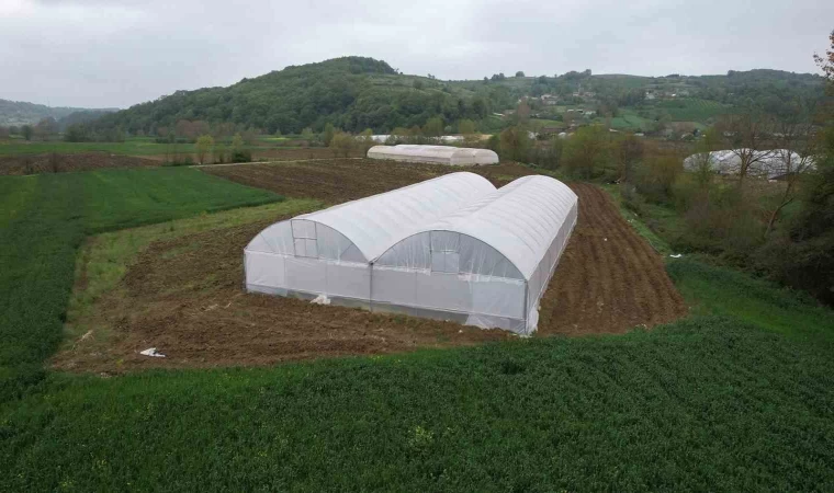 Üreticilere sera desteği