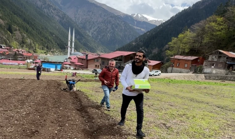 Uzungöl’de Arap turistler, tarlada mısır eken vatandaşlara hurma dağıttı, tarla belledi