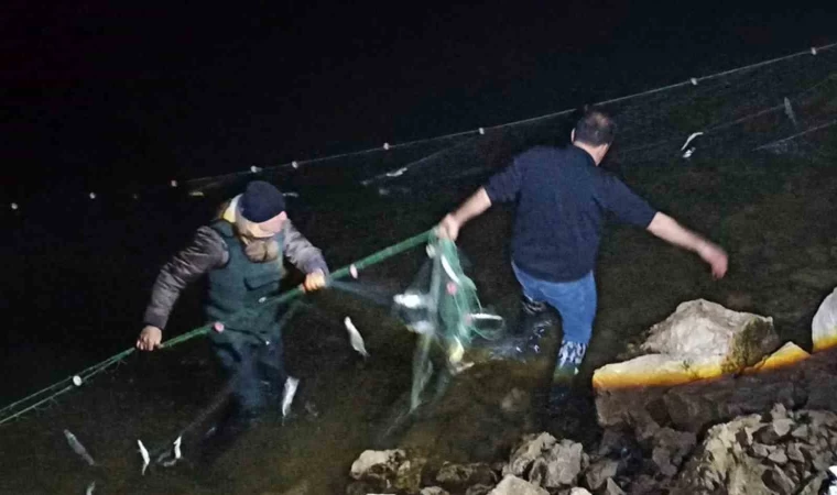 Van’da 5 ton 650 kilo inci kefaline el konuldu