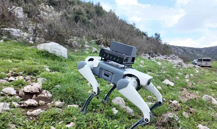 Yerli savunma sanayi firmasından robotik köpek atılımı: ”AyBARS”