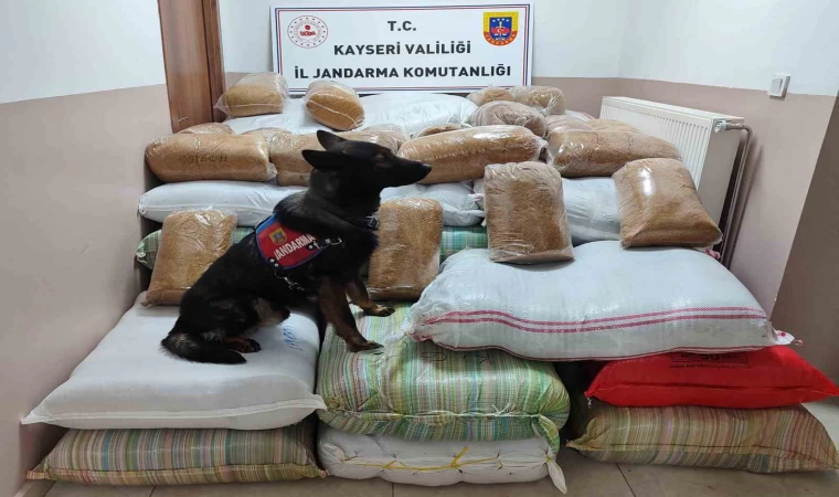 Yolcu otobüsünde 1 buçuk ton kaçak tütün yakalandı