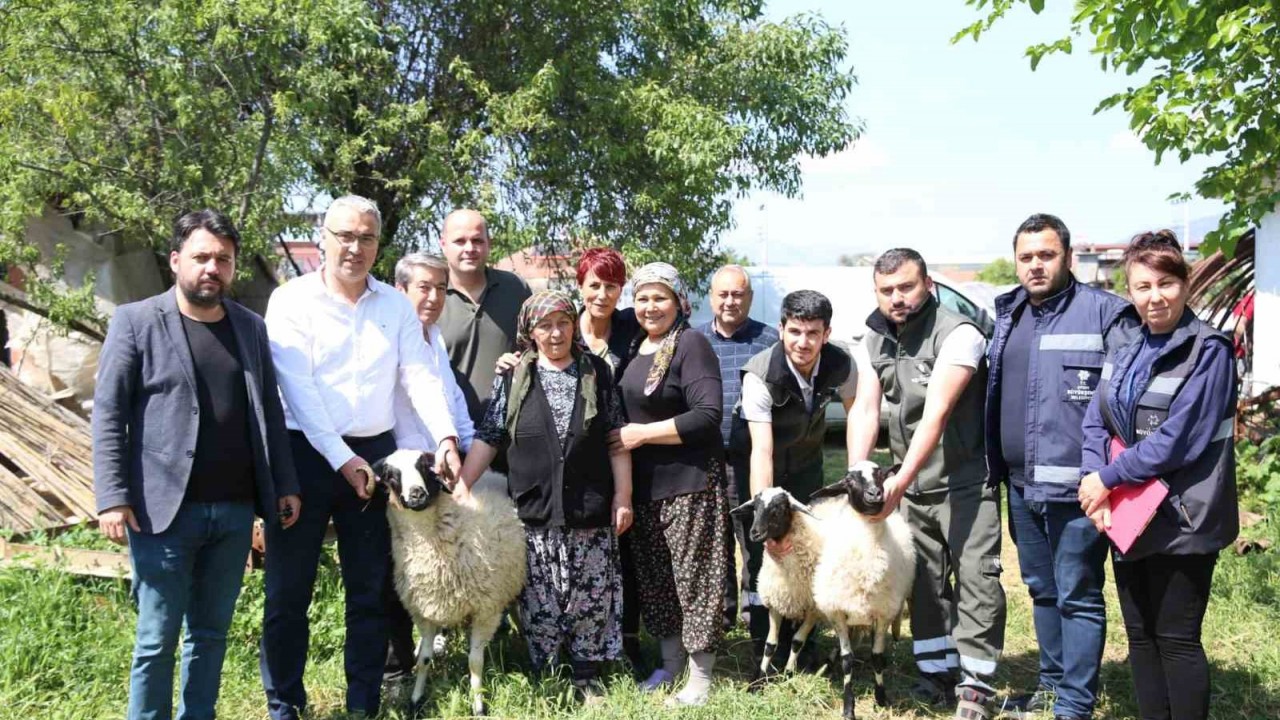 Başkan Çerçioğlu’ndan koyunları telef olan üretici kadına destek