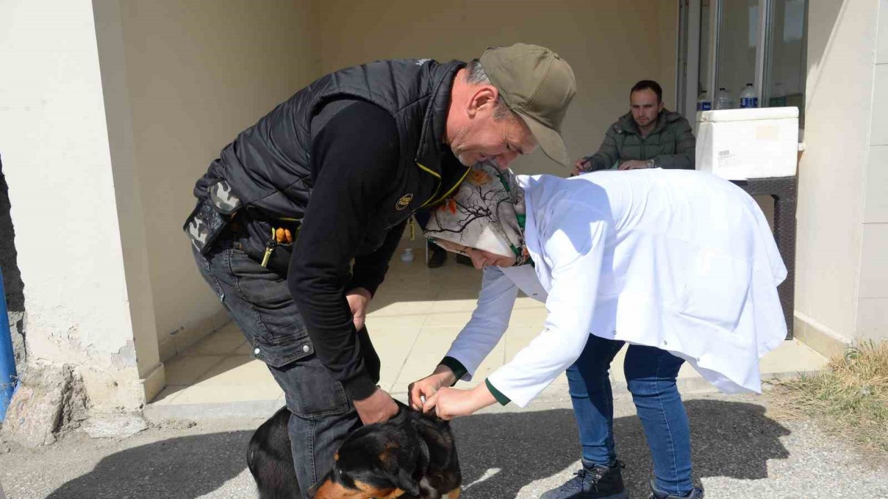 Bozüyük’te ücretsiz kuduz aşısı kampanyası kapsamında 263 aşı yapıldı