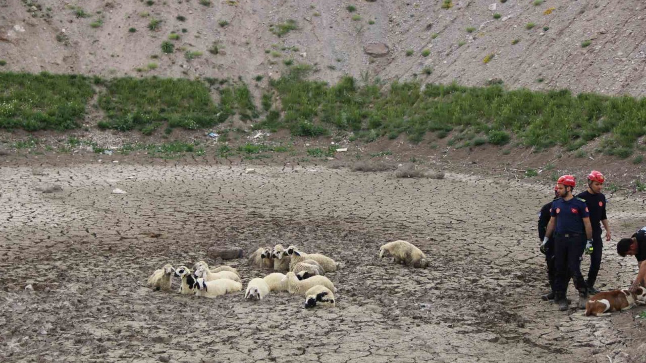 Büyükşehir İtfaiyesi’nden bataklıkta 2 saatlik koyun kurtarma operasyonu