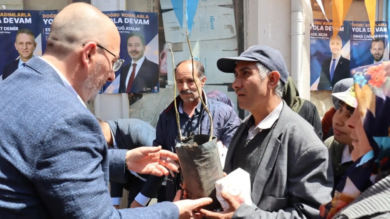 Çavdarhisar’da 400 adet ücretsiz ceviz ve badem fidanı dağıtıldı