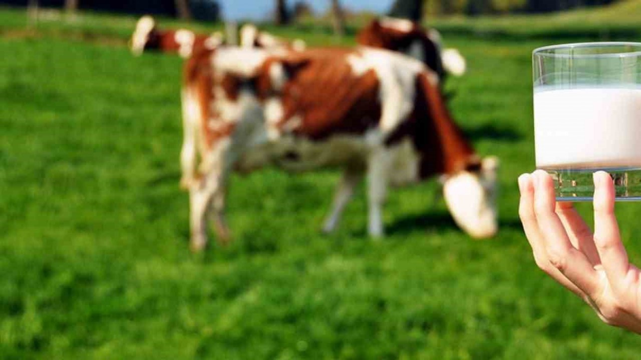 Çiğ süt üretimi 2022 yılında yüzde 7,1 azaldı