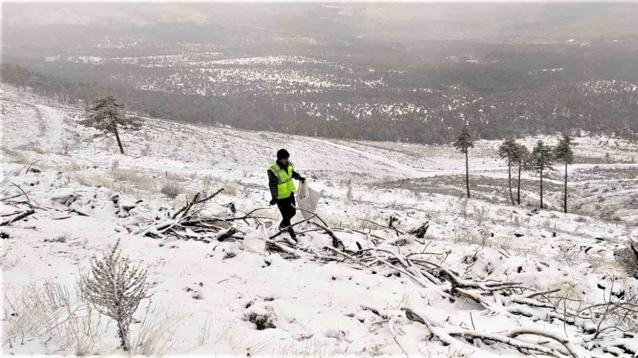 Domaniç’te 30 hektar sahaya ekilen tohumlar filizlenmeye başladı