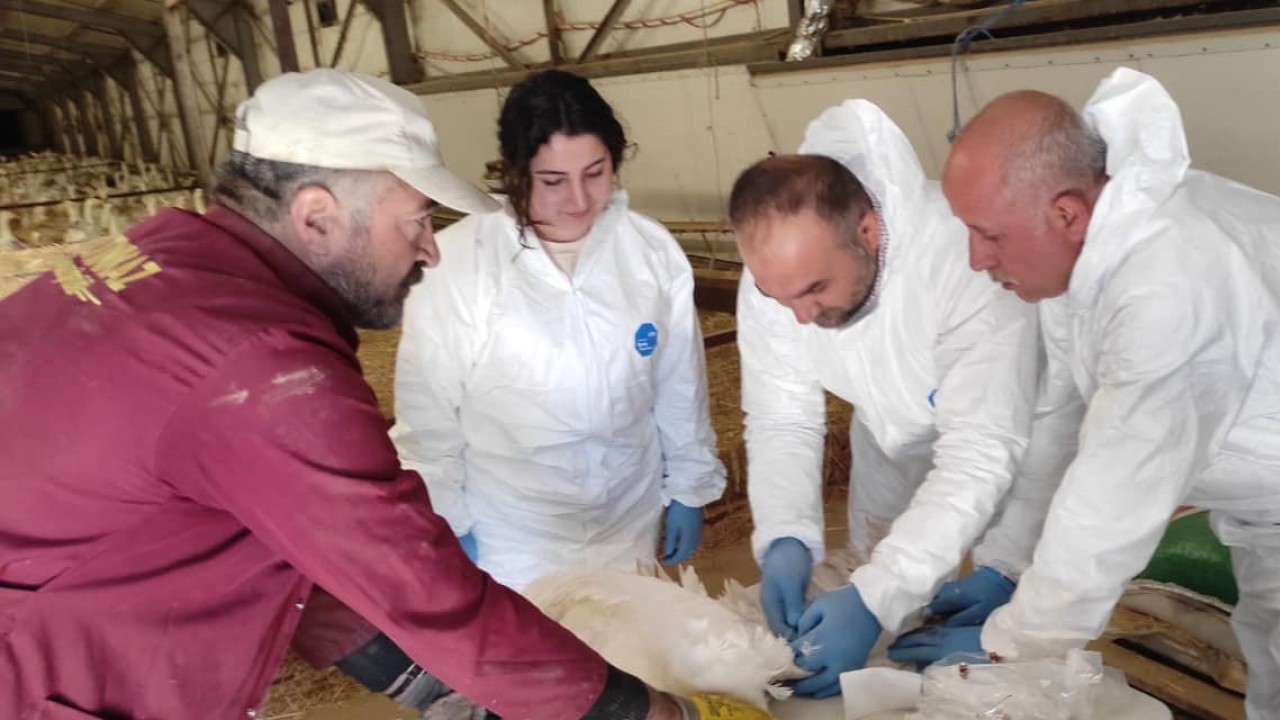 Elazığ’da hayvan sağlığı çalışmaları sürüyor