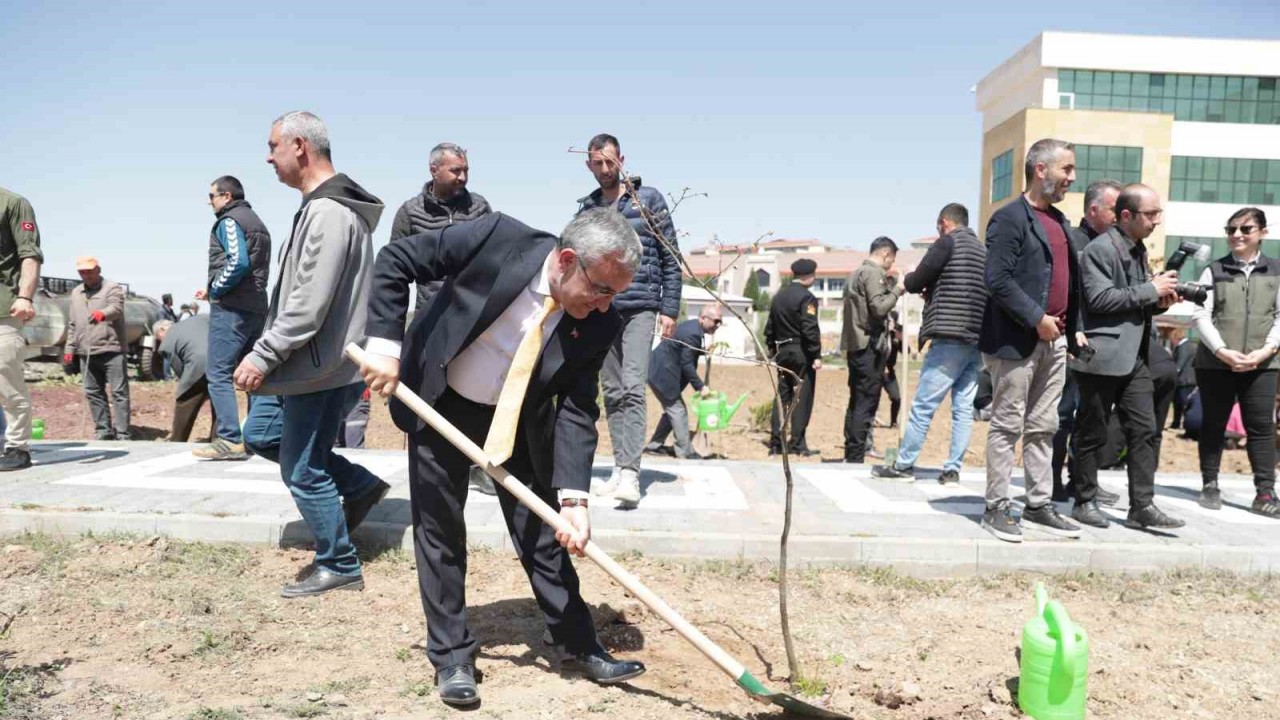 Fidanlar, bal ormanına dönüşecek