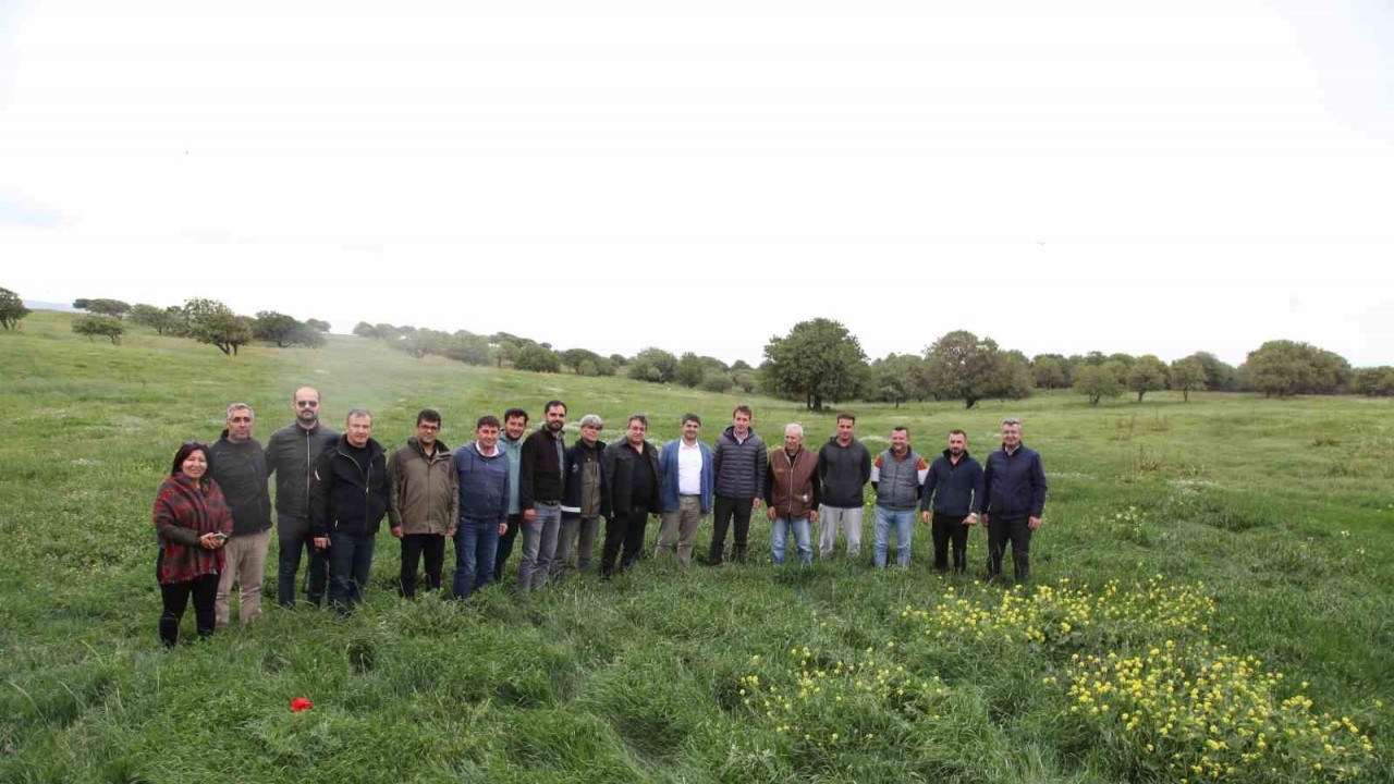 Gökçeada’da 4150 dekarlık mera otlatmaya açıldı