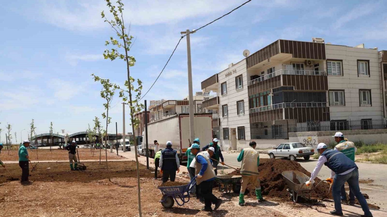 Haliliye’de parklar güzelleşiyor