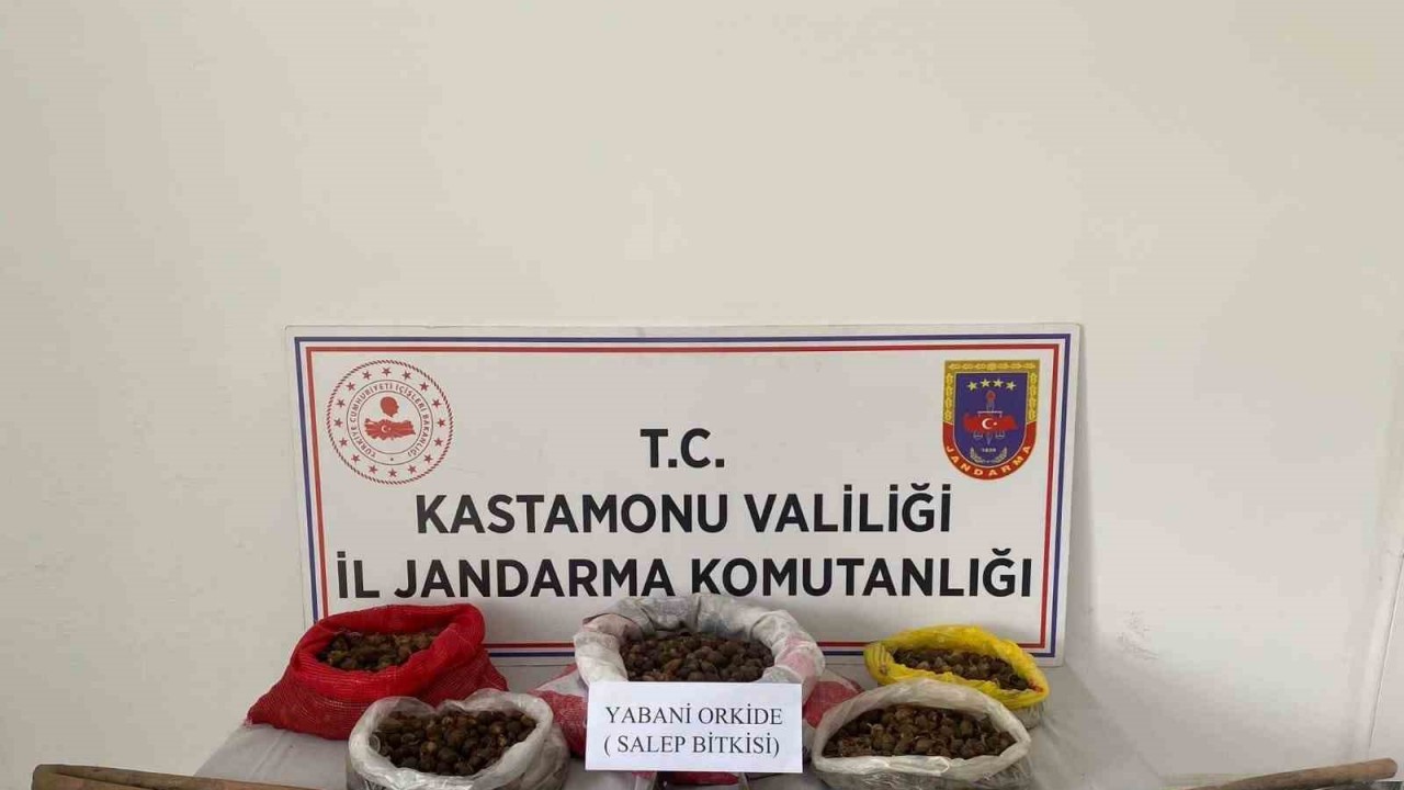 Kastamonu’da 22,5 kilogram sahleple yakalanan 3 kişiye ceza