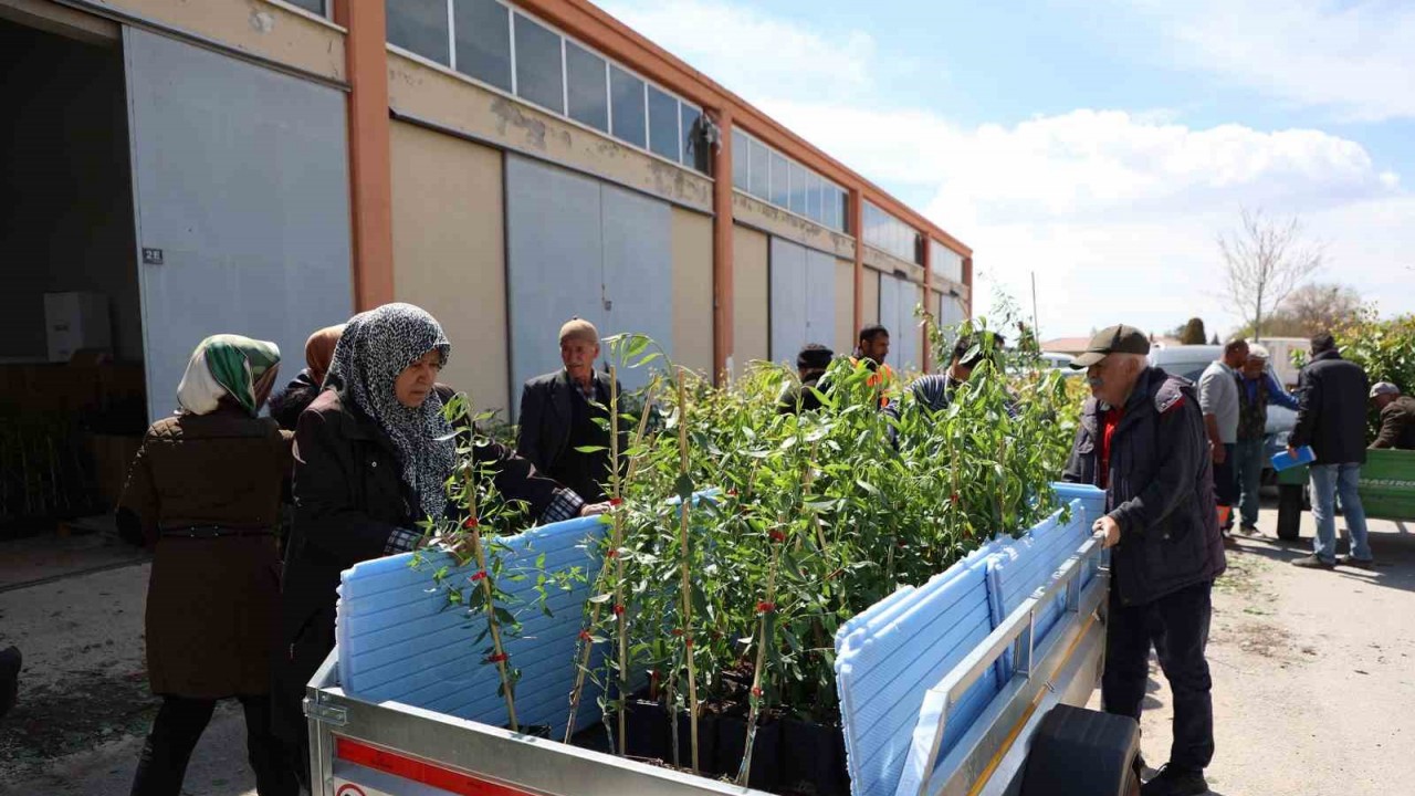 Konya Büyükşehir 31 ilçede ürün çeşitliliğini artırmak için çiftçiye destek oluyor