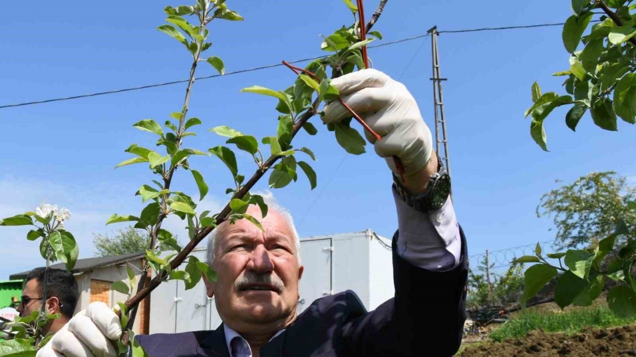 Lapseki’de Tarla Günü programı gerçekleşti