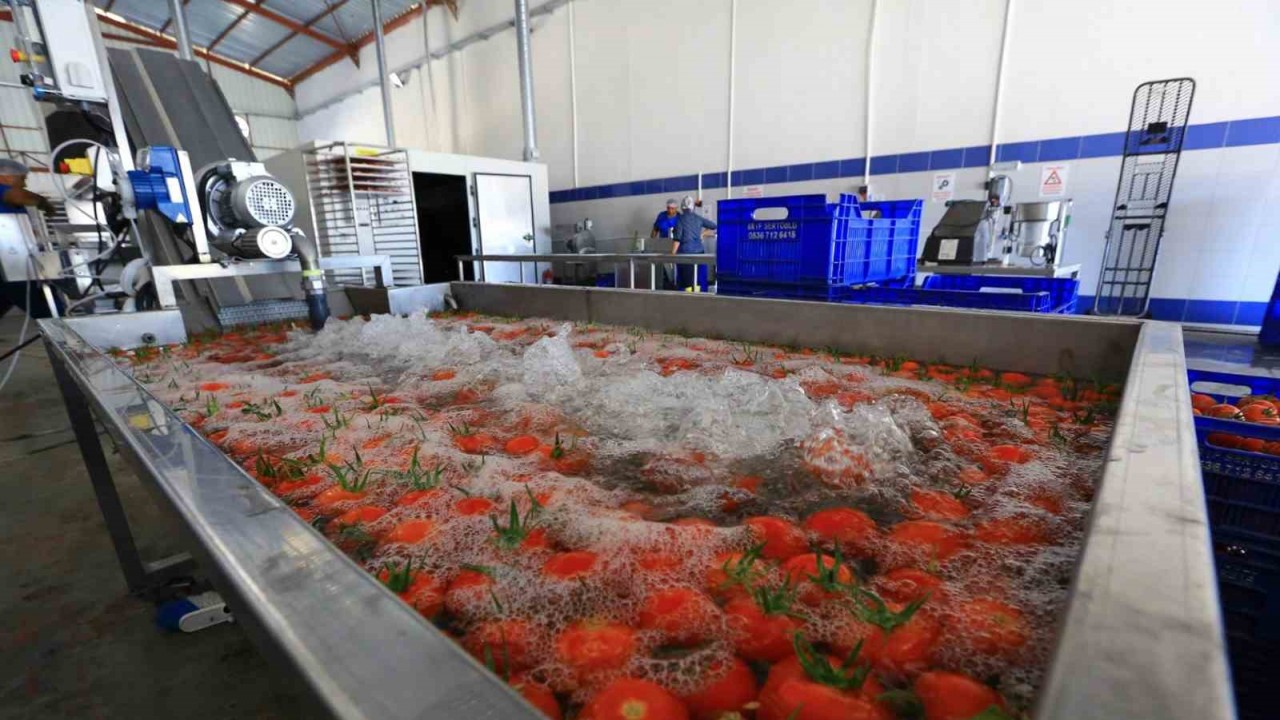 Muğla’nın ürünleri bu tesiste değerine değer katıyor