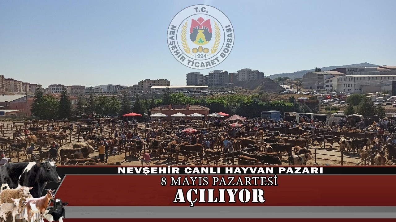 Nevşehir Canlı Hayvan Pazarı yeniden açılıyor