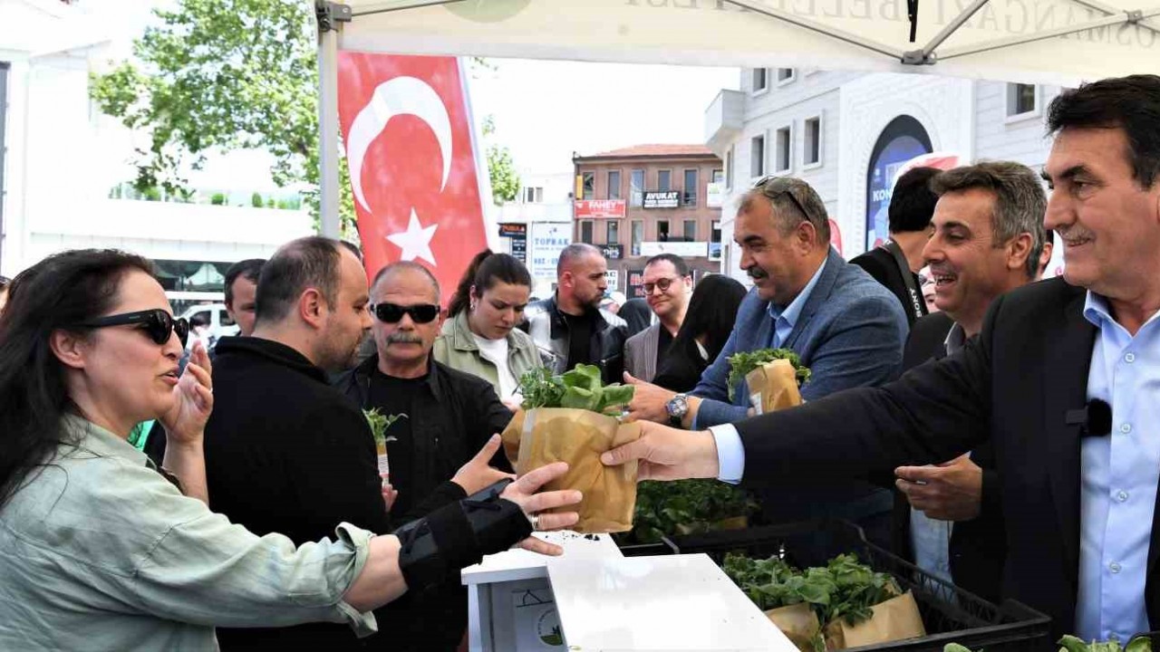 Osmangazi Belediyesi 1 milyon sebze fidesi dağıttı
