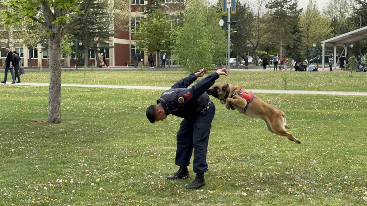 (ÖZEL) Jandarmanın sevimli kahramanları fuarda şovlarıyla ilgi çekti