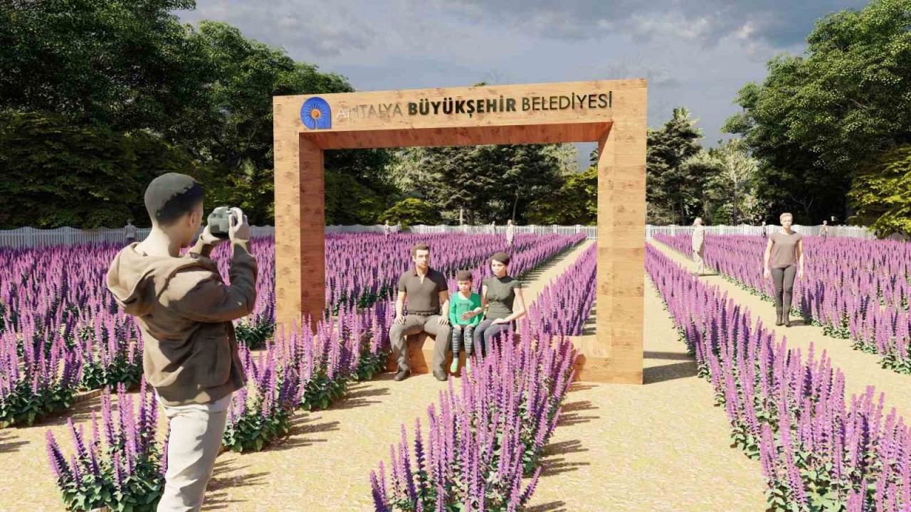 Tıbbi aromatik bitkiler işlenip değerlendirilecek