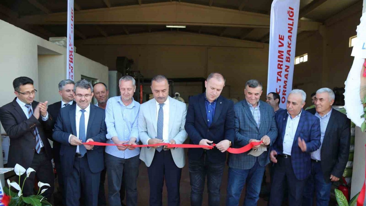 Yenişehir’de ayçiçek işleme tesisi hizmete açıldı