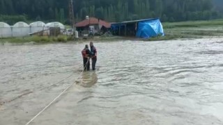 Aşırı yağışlar Gedizde taşkına sebep oldu