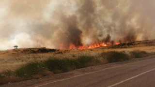 Buğday tarlası küle döndü