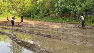 Çukurcada çeltik ekimi başladı