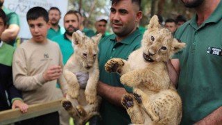 Cumhurbaşkanı Erdoğana dördüz sürprizi