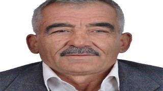 Eşekten düştü, hastanelik oldu