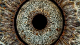 Gözler sanata dönüşüyor