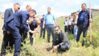 Hakkaride Dünya Tütünsüz Gününde fidan dikildi