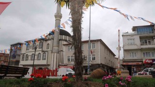 İvrindide çiçekler açtı