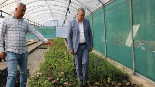 Kahtada çiçek serası kuruldu