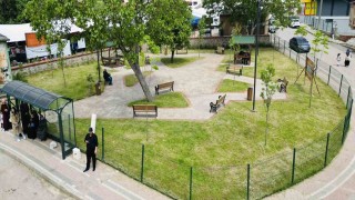 Körfeze yeni meydan